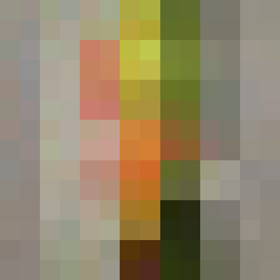 inscription 0ecc22bc1211958f6840d12fd904add6d0349943b14e84556dcebbfbffcda6d6i0