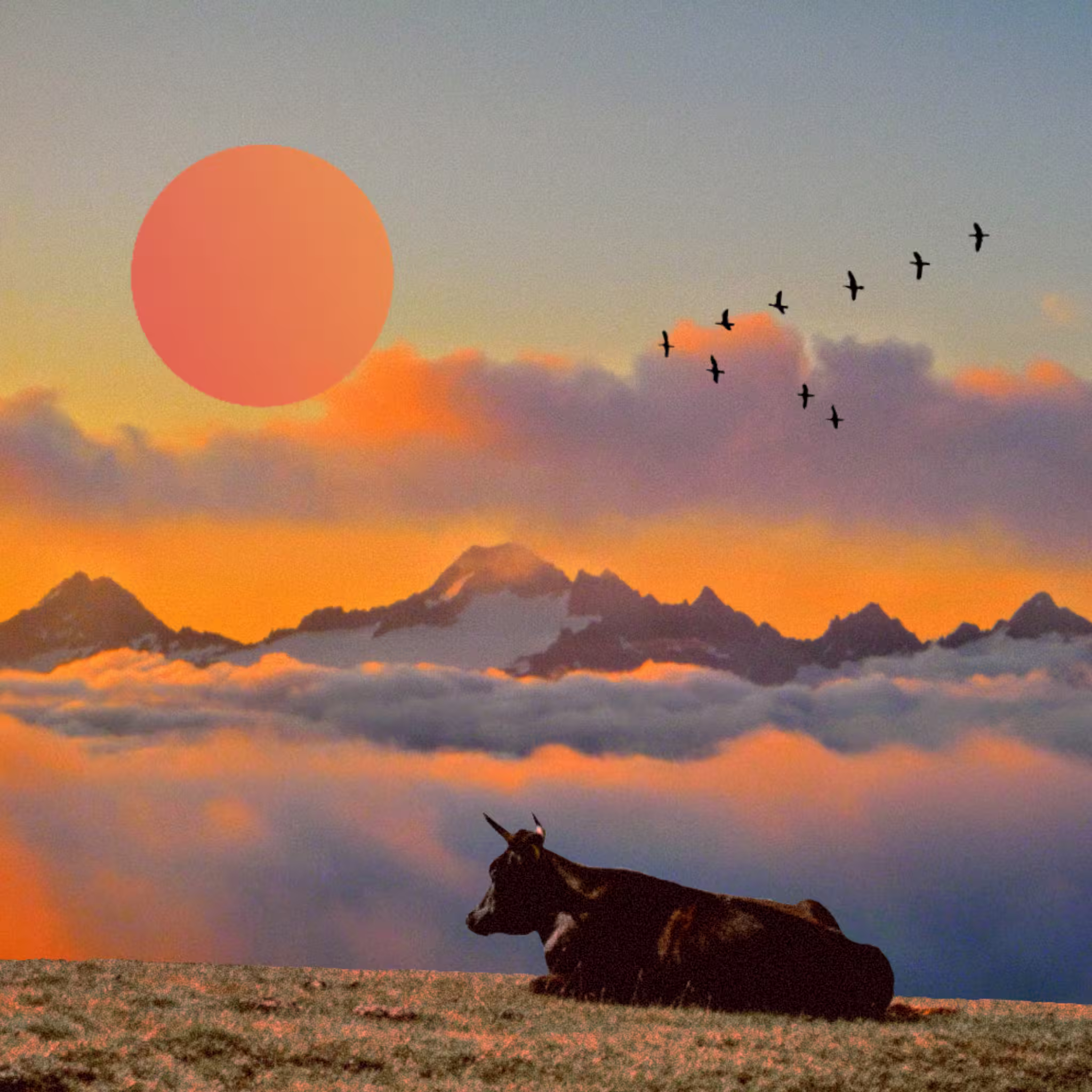 inscription 38b0dfd68b6d8b3b27d40c9d27ca2d413d6f8dac0a120e92eeb133d250fcce2ei0