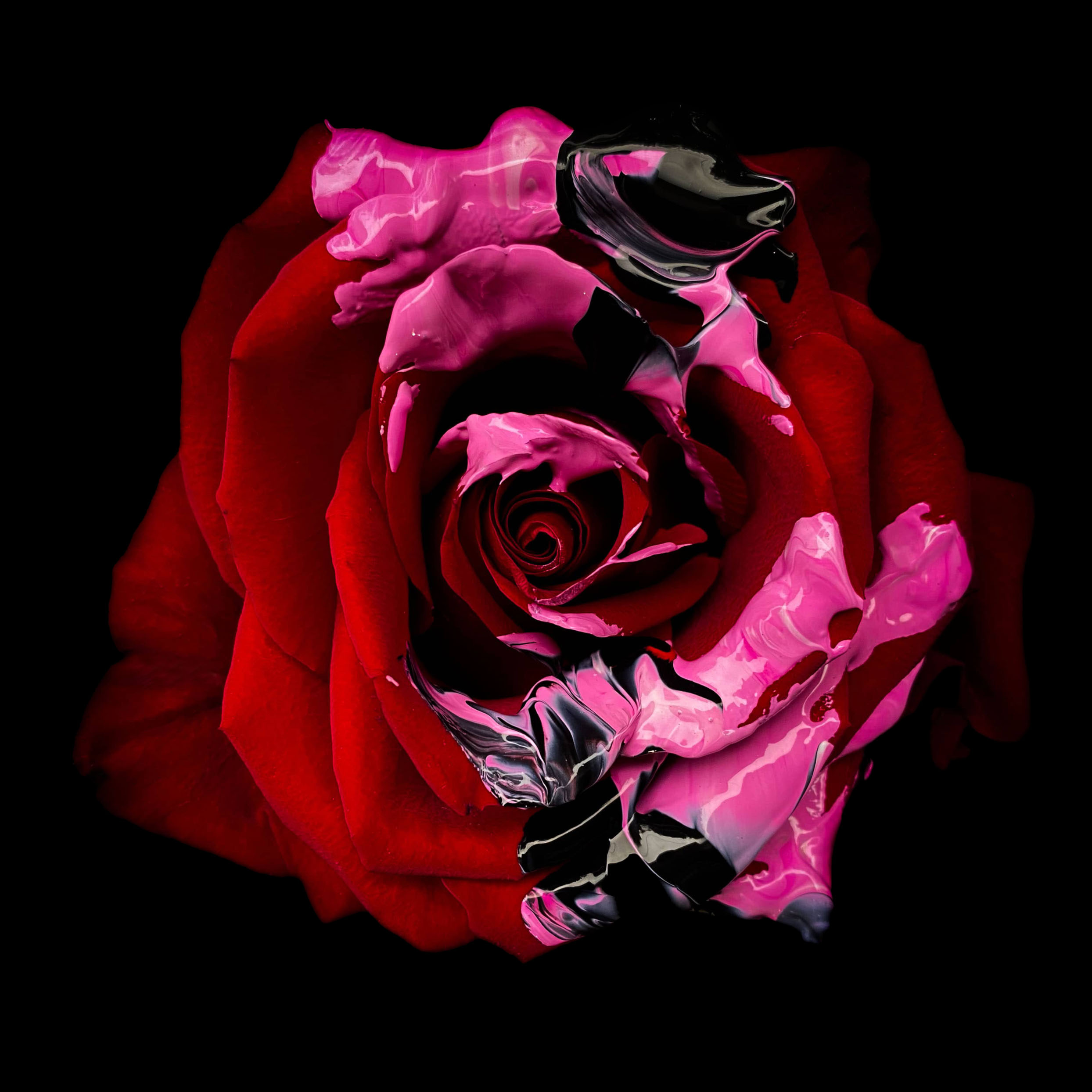 inscription 4c81330adcd35311ad6f73dcd5882d793691263a2304d055b7b8f81e2a3e9656i0