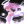 inscription 7950d3948700ec62ae61a42e9b7f1b492564c4f4a6cdc5b55fbf6faac2fb86d0i0