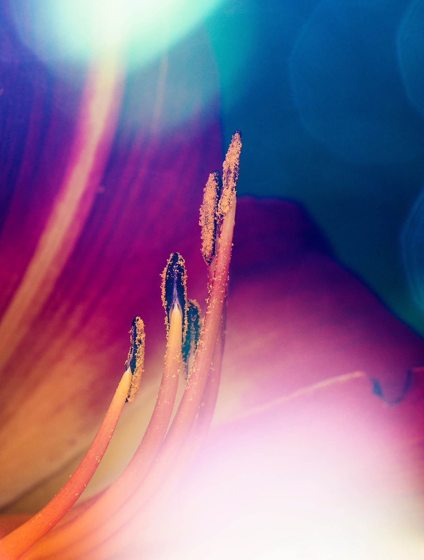 inscription 85a24d79d997b6ed8b0dda2edf106ac8fb2e59ef81134cfc4dfeb3261b12f064i0