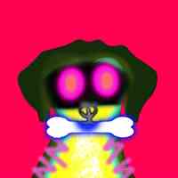 inscription 92e58c8473c51c0acefc5d3758b6570df9d08c85086a8d30d069d49c1e726e59i0