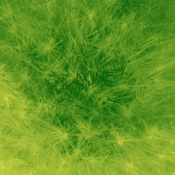 inscription 9e153a5dbafec0206699d4ec7d6b0c55eb0f3d18ed5bd1048f287e157e0e148ai2