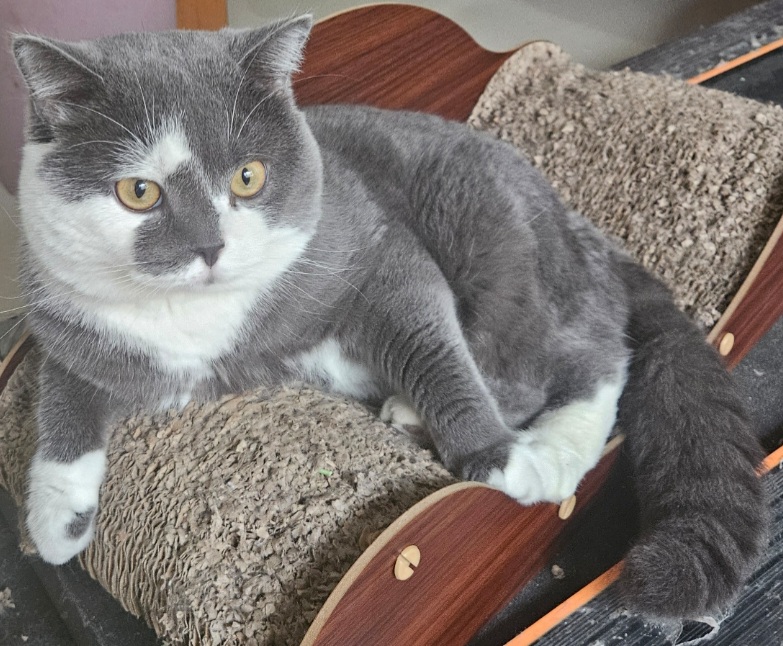 inscription b5b4ece02ae4372ee684967264639b7a0e1096e017bff3ed7c554f425f0d47b5i0