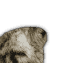 inscription be0d08c34ec5c8404caba54a577d4d4cf12dc43911c580a6fe7d2204e784c0f0i26