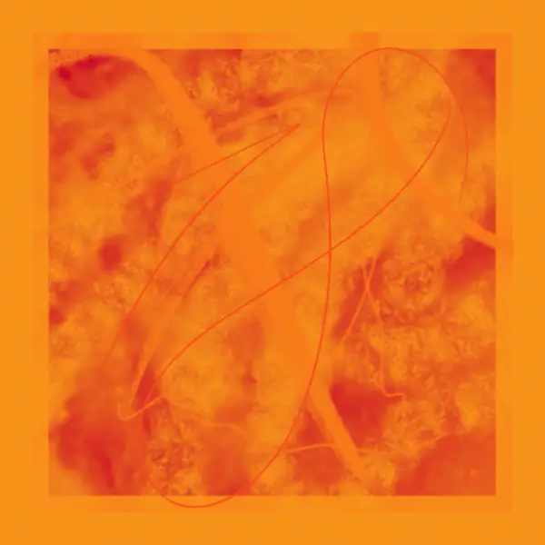 inscription c195fc4b3bb721ef88499c5b64f1ef6e6a28068e4323b9ce8d849746482ab06ei5