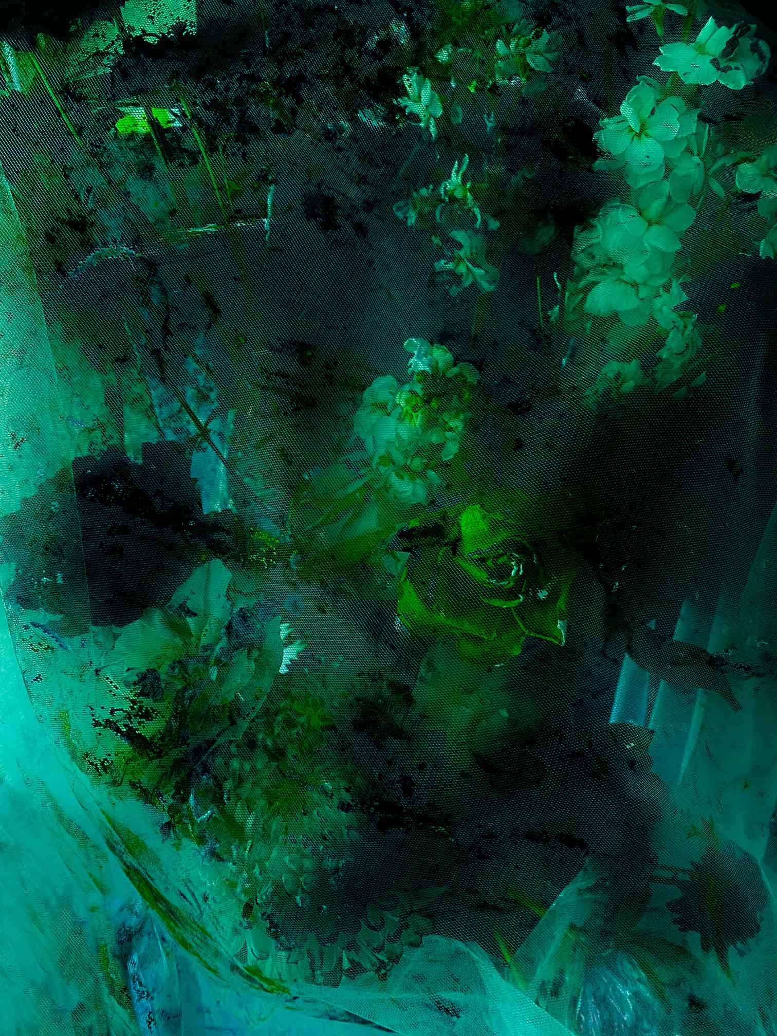 inscription c7532fe92ec518ce5910bbe292bad772da71b23af09497674f4eab8dab78d2eei0