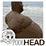 inscription c895582e99dcf23fcea38fcd38e63ae7fdd14804fdf76127fa2d6020a28559abi0