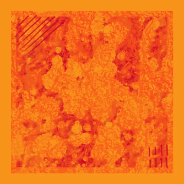 inscription d62e55a73d59ed837f29c1cd12e76fca6bd6b70faf49198526dd04afa5bd3fa7i8