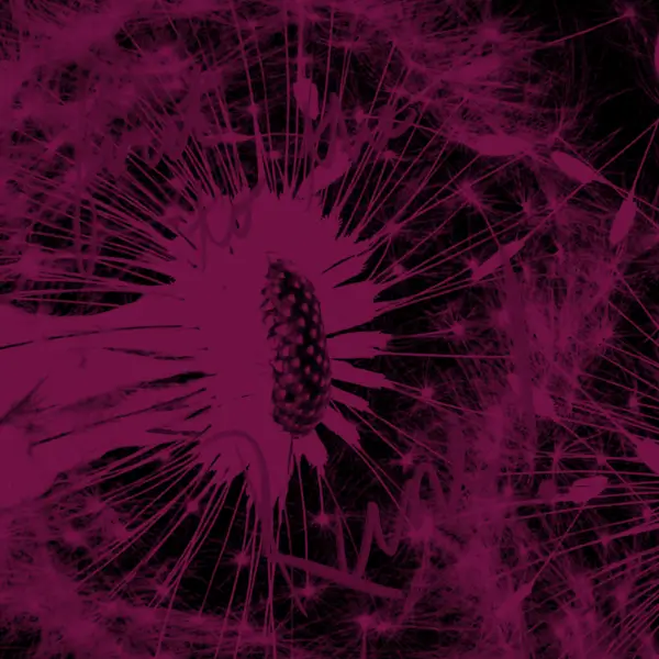 inscription e1bb0bb2de133047382b1f53b7ad12906b0520df229b77e371202f6eb1891552i1