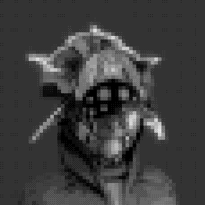 inscription f0e5c77692bd59112eeb854d750b310286143db954ae9086cc4a56861bbbeff9i41